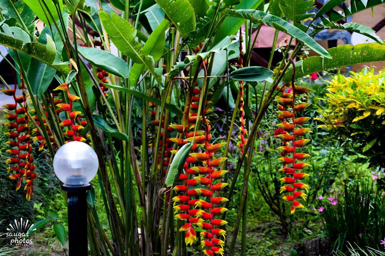 Bardia Wildlife Resort Bardiya Luaran gambar