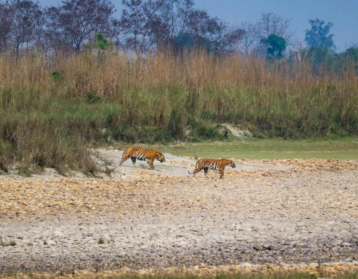 Bardia Wildlife Resort Bardiya Luaran gambar