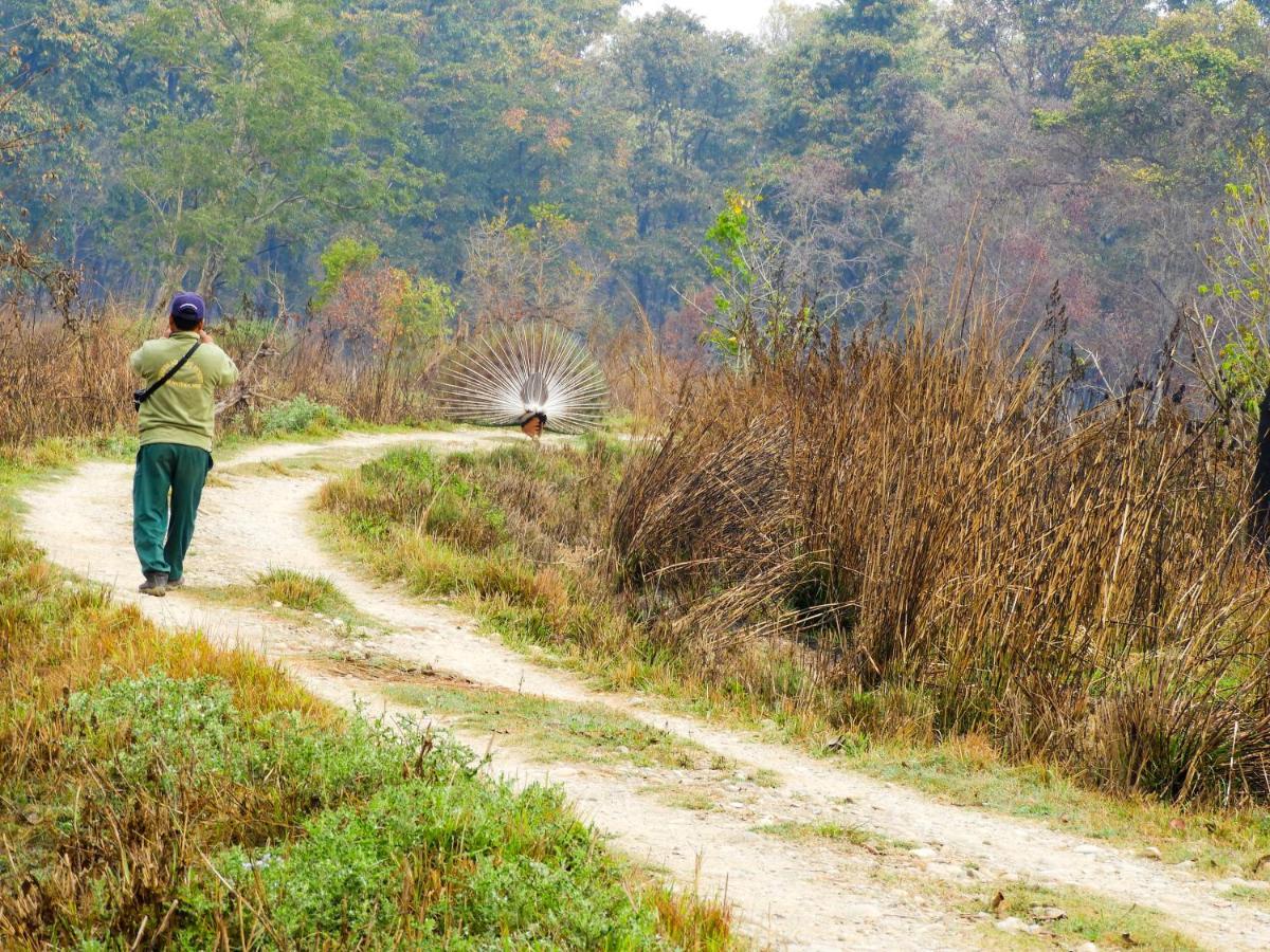 Bardia Wildlife Resort Bardiya Luaran gambar