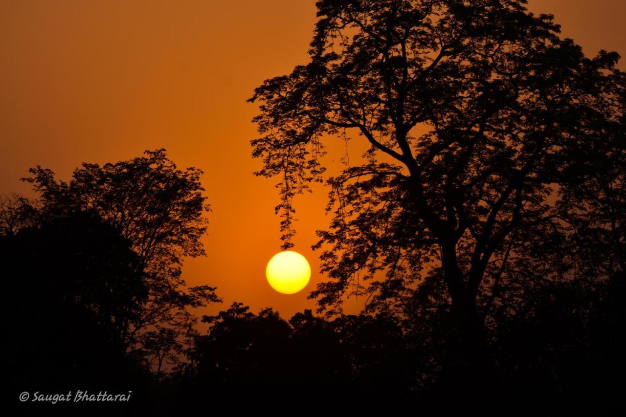 Bardia Wildlife Resort Bardiya Luaran gambar